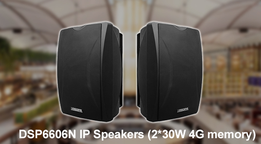 Speakers speaker IP (memori 2x30W 4G)