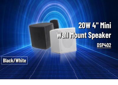 DSP402 Speaker dinding Mini, pengeras suara pemasangan 20W 4 inci