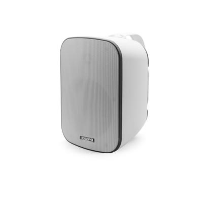 DSP5050 Speaker tahan air IP65, Speaker pemasangan dinding luar ruangan 50W