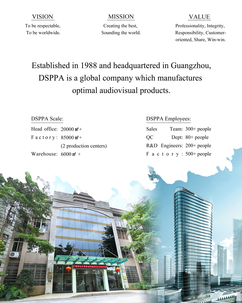 company culture of DSPPA
