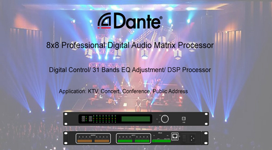Prosesor matriks Audio untuk Protocol-DP8004 Dante