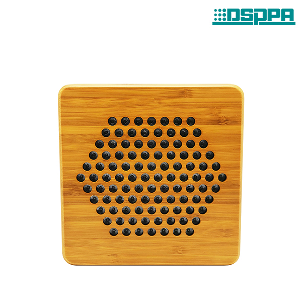 Sistem Speaker Directional aktif DSS1419