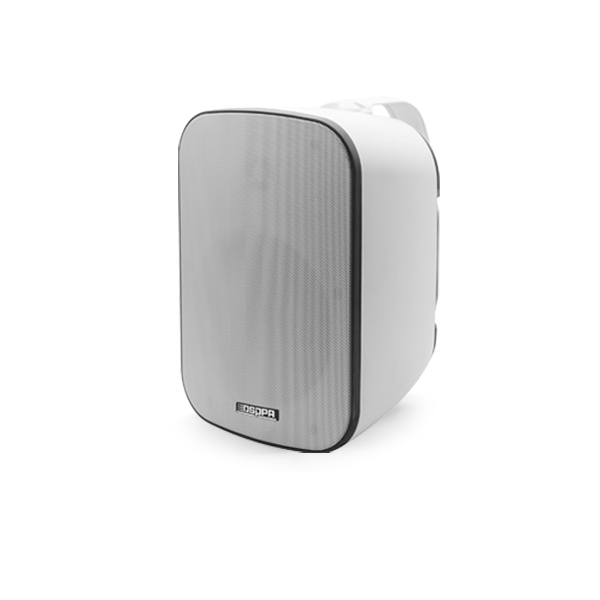 DSP5020 Speaker tahan air IP65, pengeras suara pemasangan dinding luar ruangan 20W