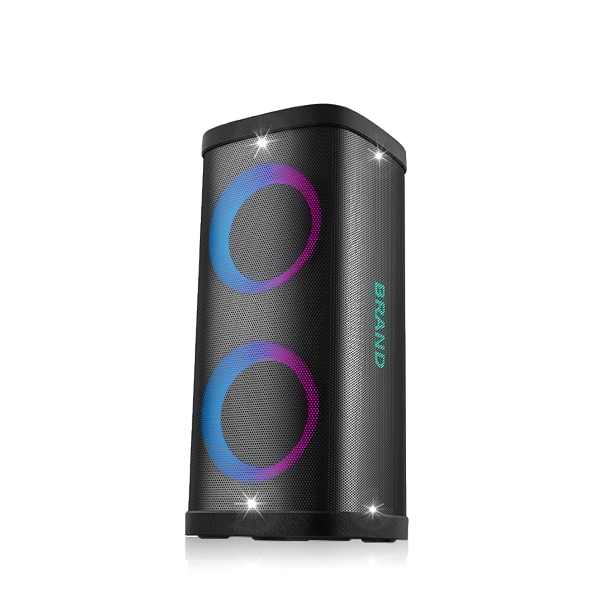 DSP2605 Dual 6.5'' Multifunctional Portable Bluetooth Party Speaker