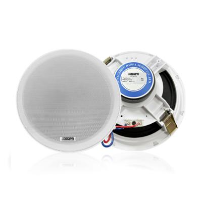 DSP8015L 8'' 8Ω 15W Ceiling Speaker