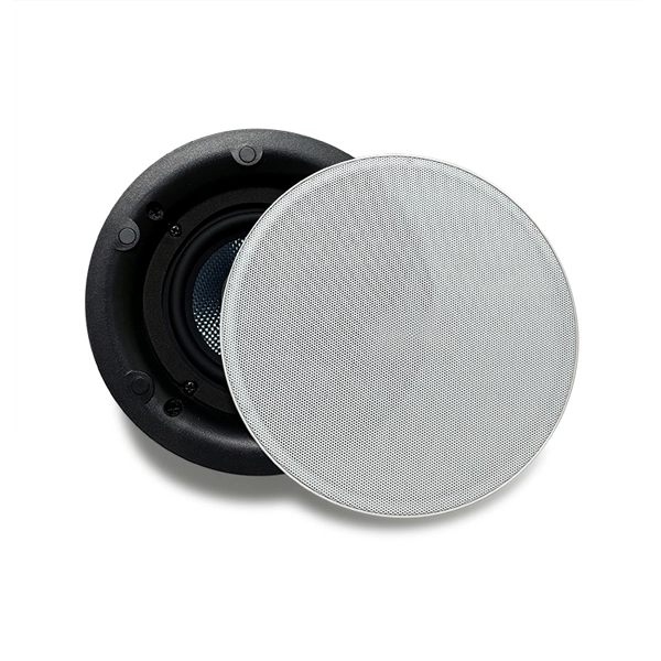 DW2230 DW2230S 2×30W WiFi Active Ceiling Speaker System - 翻译中...
