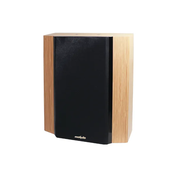 AM6606 8'' Two-Way Full-Range Home Theater Speaker - 翻译中...